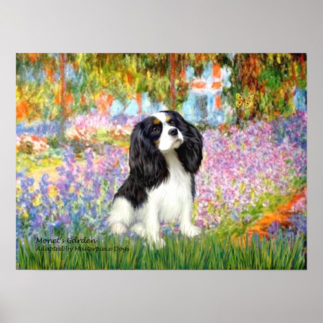 Poster Cavalier King Charles (tricolore) - Jardin (Devant)