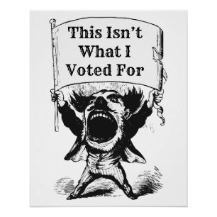 Poster Ce n'est pas ce pour quoi j'ai voté