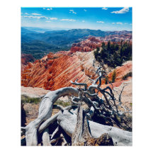 Cedar Breaks Monument national - Branche