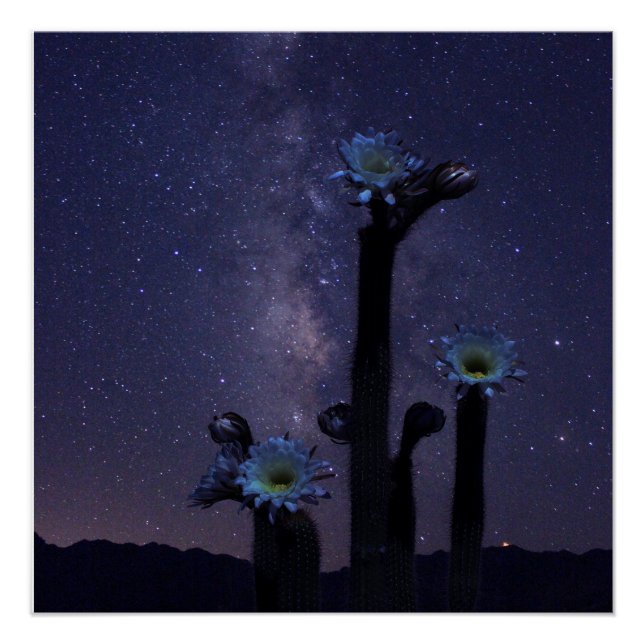 Poster Célébration sous les étoiles (Devant)