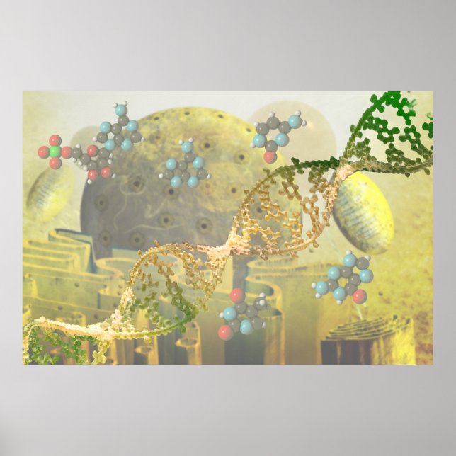 Poster Cellule avec ADN (Devant)