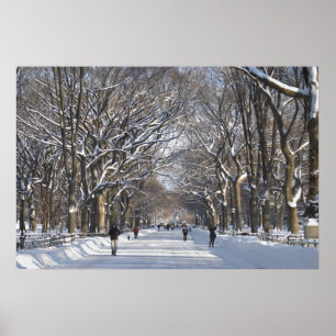 Poster Central Park de mail d'hiver