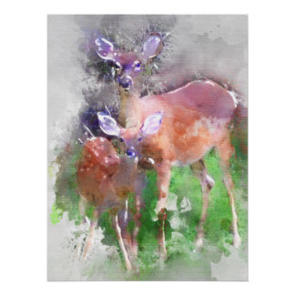 Poster Cerf à queue blanche en aquarelle