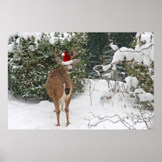Poster Cerf de Noël