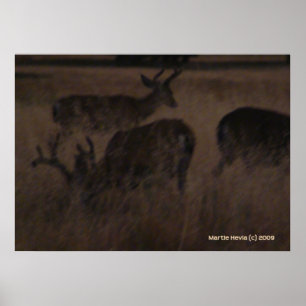 Poster Cerf en herbe sèche