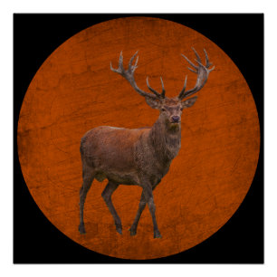 Poster cerf vintage dans une nature orange