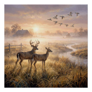Poster Cerfs et canards dans la brume matinale