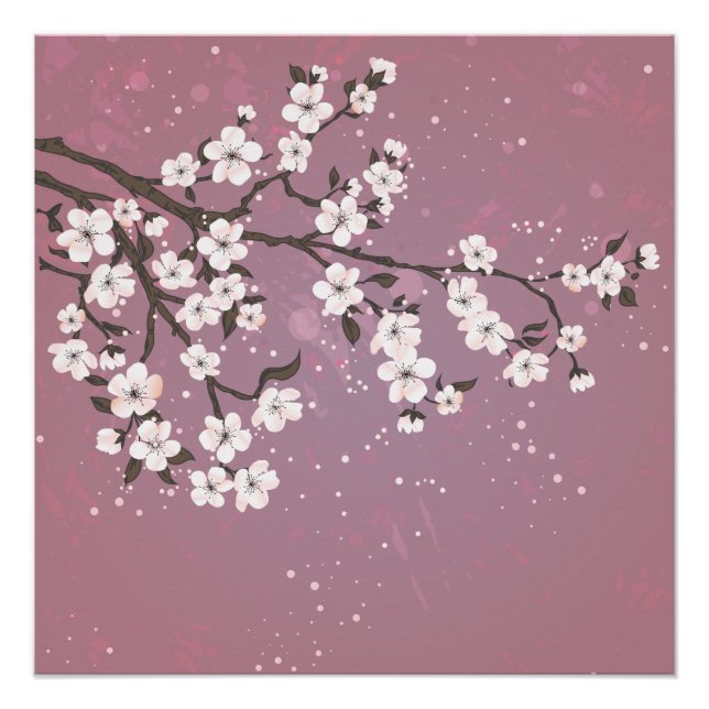 Poster Cerisier rose (Devant)
