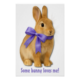 Poster Certain lapin m'aime !