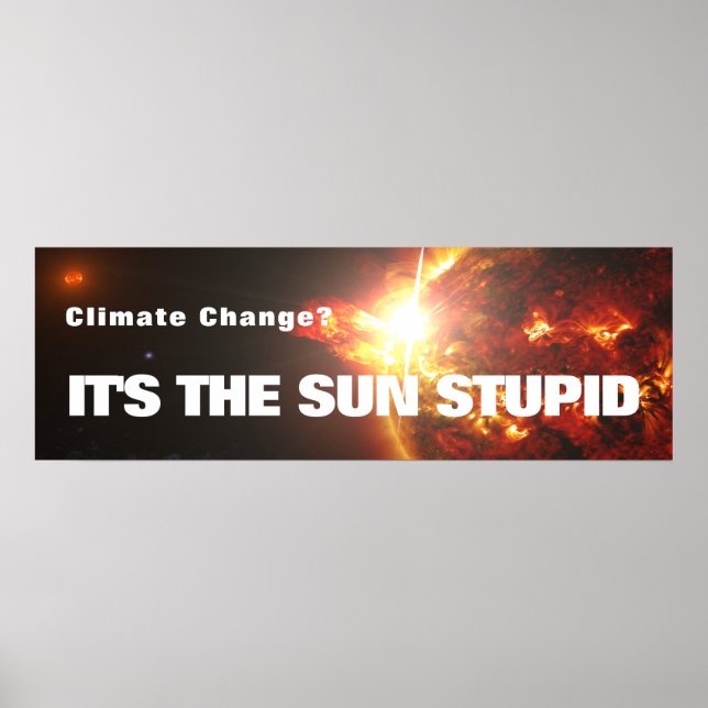 Poster C'est l'affiche du Soleil Stupide (Devant)