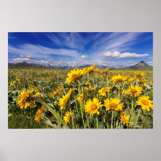 Poster Chaîne de front des montagnes Rocheuses (Devant)