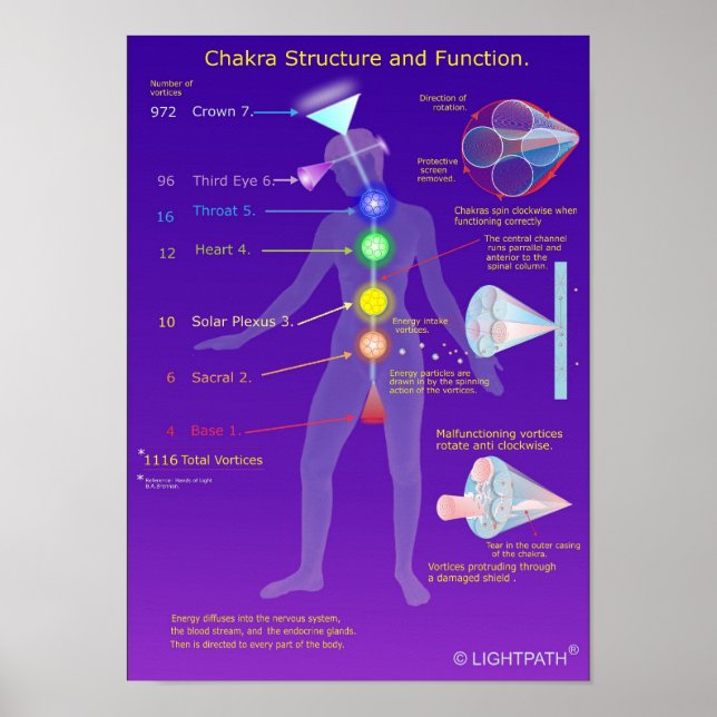 Poster Chakra Structure and Function (Devant)
