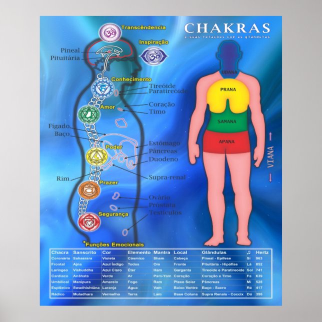 Poster Chakras e suas Relações (Devant)