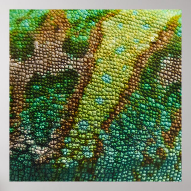 Poster Chameleon Modèle de texture de peau (Devant)