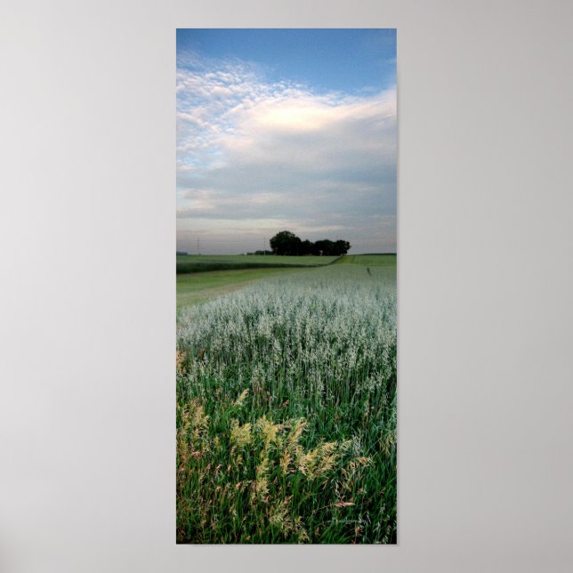Poster Champ de blé agricole du Midwest (Devant)