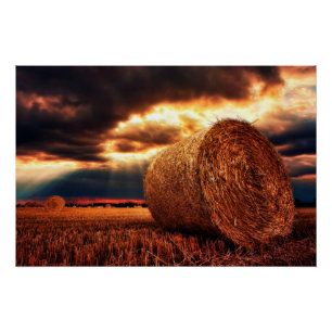 Poster Champ de Hay Bales