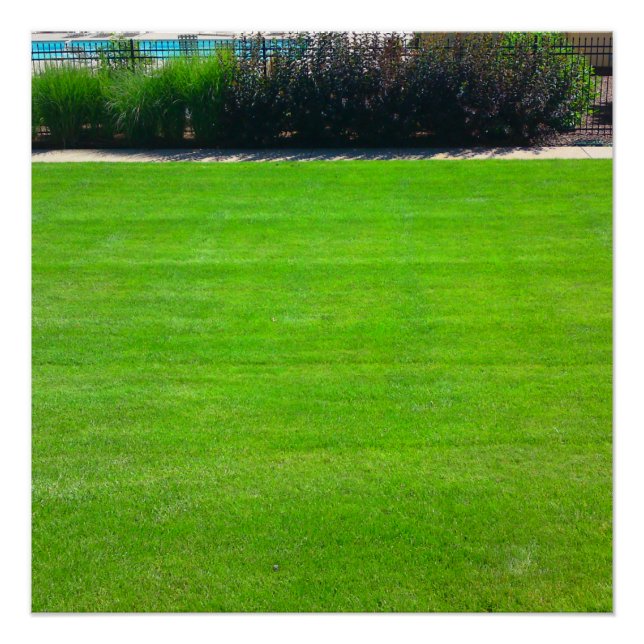 Poster Champ de l'affiche parfaite de l'herbe (Devant)