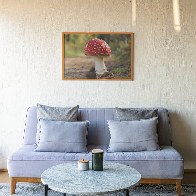 Poster Champignon de mouches (Créateur téléchargé)