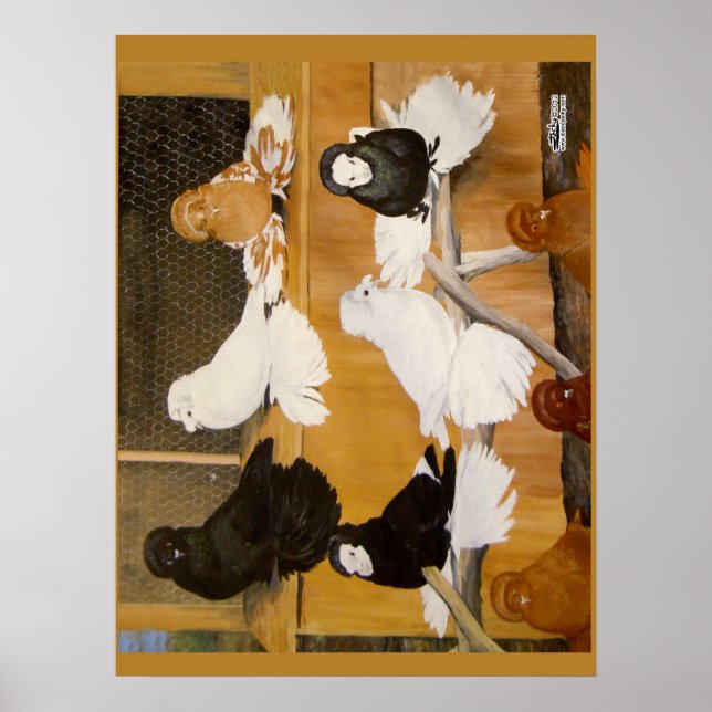 Poster Champions Trumpeter Pigeon (Devant)