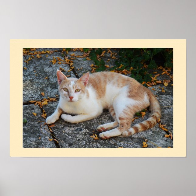 Poster Chanceux (Devant)