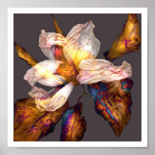 Poster Chanson de fleur