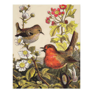 Poster Chant d'oiseaux du printemps vintage botanique flo