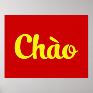 Poster Chào / Hello ~ Vietnam / Vietnamien / Tiêt Viêt