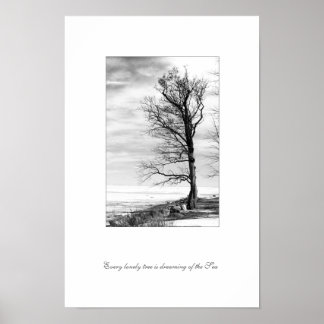 Poster Chaque arbre solitaire rêve de la mer