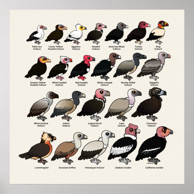 Poster Chaque vautour (Devant)