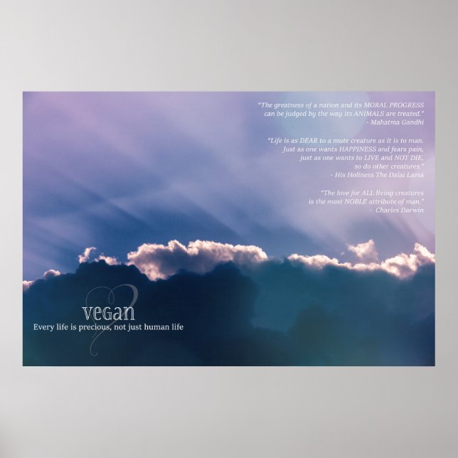 Poster Chaque vie est précieuse et pas seulement la vie h (Devant)