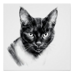 Poster Charbon de Chat