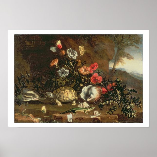 Poster Chardons, fleurs, reptiles et papillons à côté (Devant)