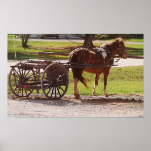 Poster Chariot amish de poney