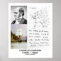 Charles Darwin Collage HMS Beagle Evolution