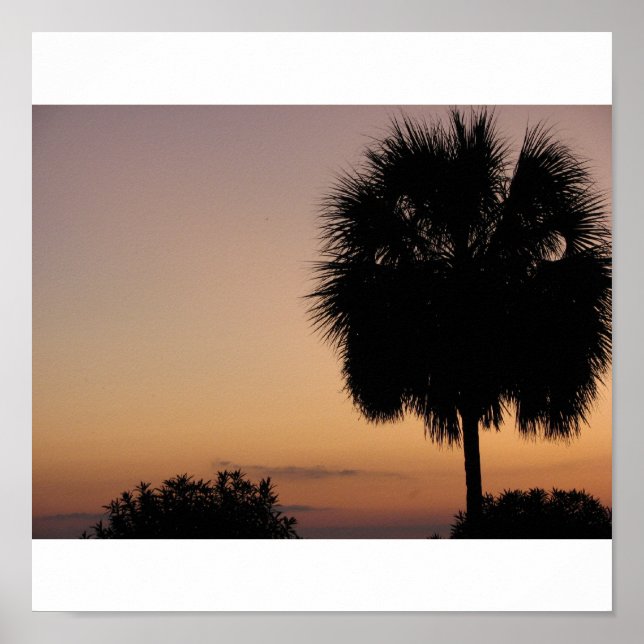 Poster Charleston Palm (Devant)
