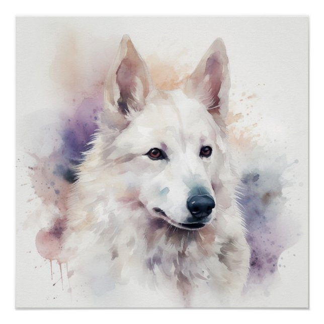 Poster Charme blanc Sapsali Chien Aquarelle Portrait (Devant)