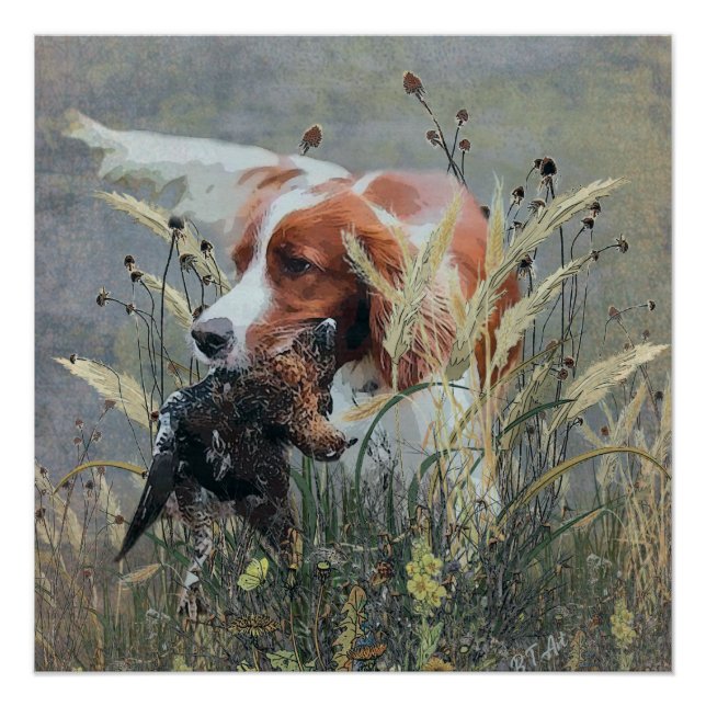 Poster Chasse avec Epagneul Breton (Devant)