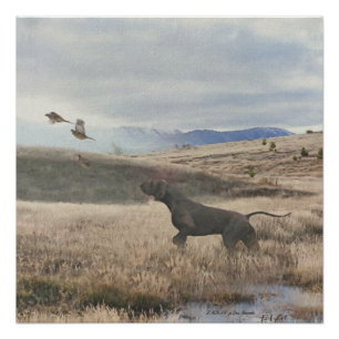 Poster Chasse de caille de pointer germanique, Art