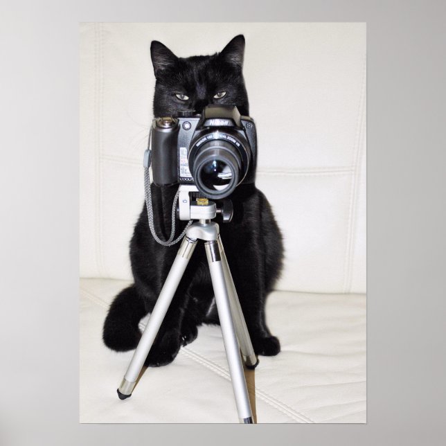 Poster Chat avec l'appareil photo (Devant)