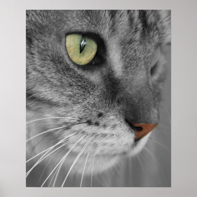 Poster chat avec yeux verts Imprimer (Devant)
