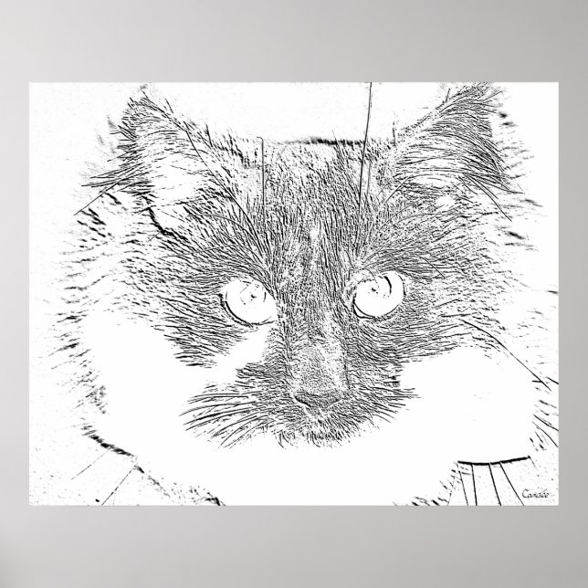 Poster chat chanceux (Devant)