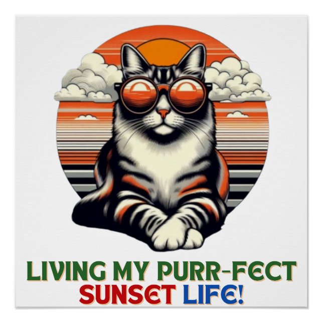 Poster Chat Cool coucher de soleil (Devant)