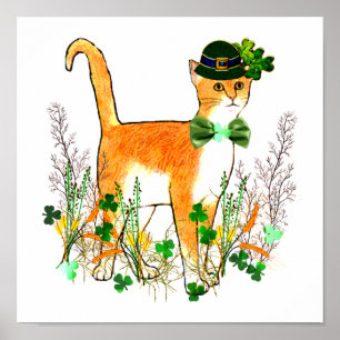 Poster Chat de la Saint Patrick