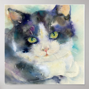 Poster Chat de rêveur