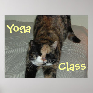 Poster Chat de Yoga