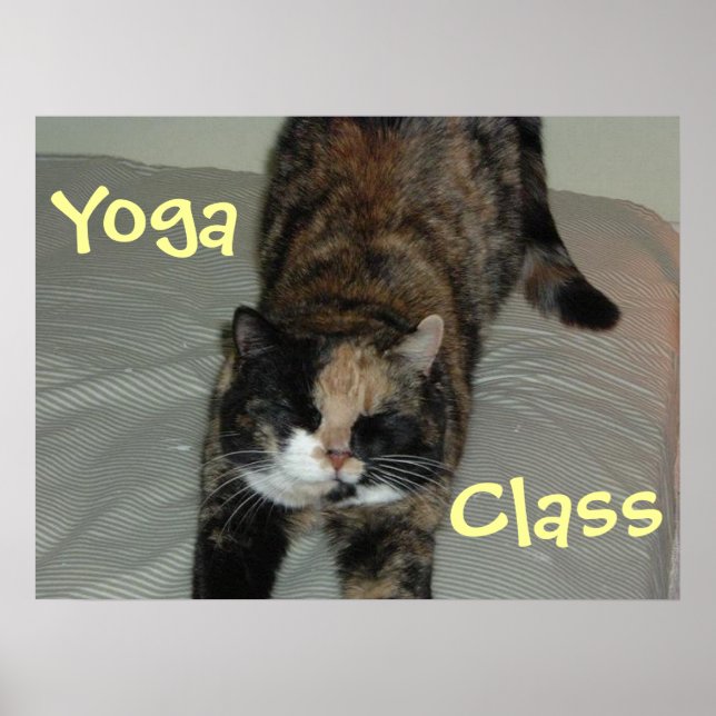 Poster Chat de Yoga (Devant)