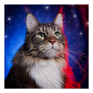 Poster Chat Maine Coon Avec Aura Bleu Rouge Blanc Et Étoi