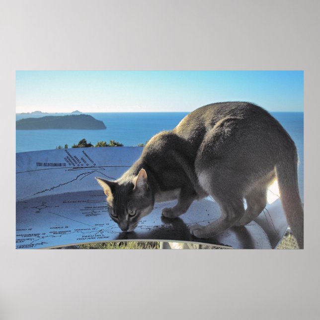 Poster Chat marque l'emplacement : Sommet du mont Paku No (Devant)