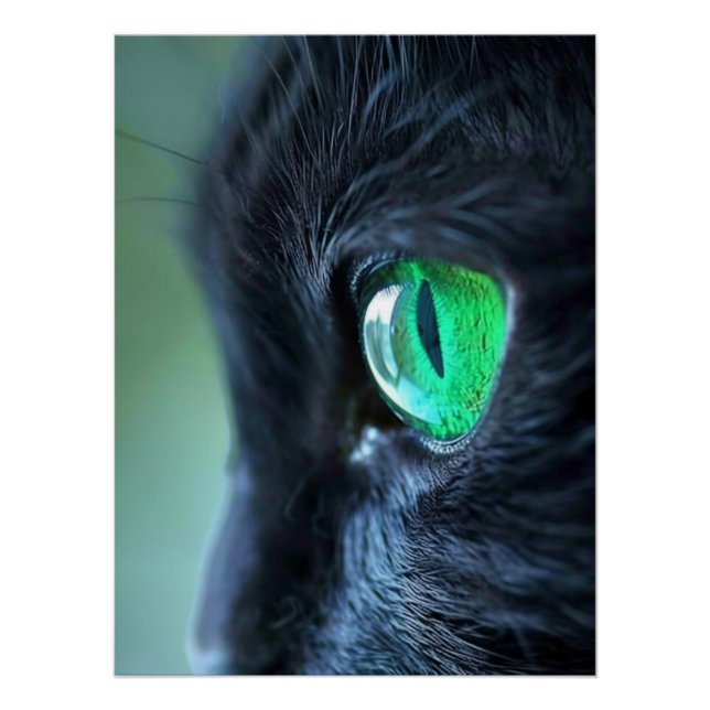 Poster Chat noir à l'œil émeraude (Devant)