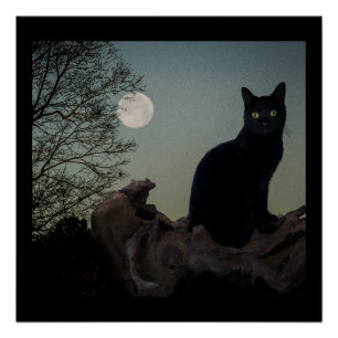 Poster Chat noir dans un arbre devant une Pleine lune